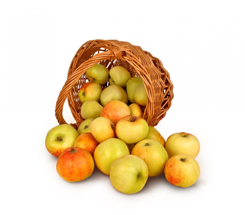 Fruit basket - 画像 (2)