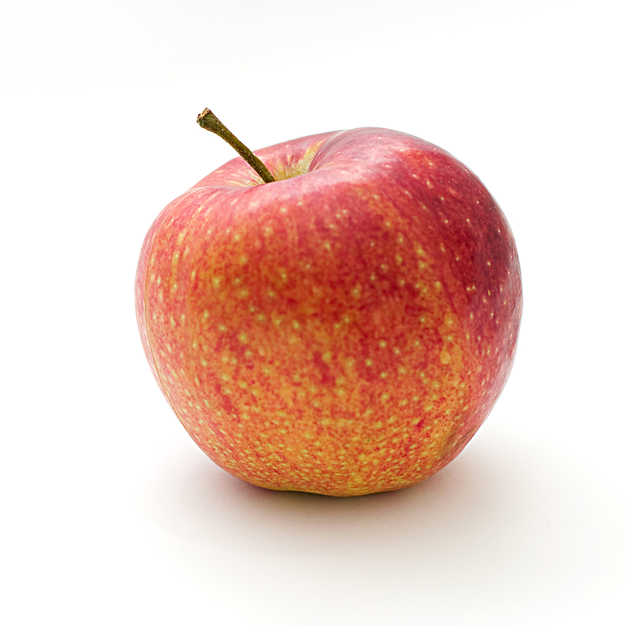 Fruit basket - 画像 (4)